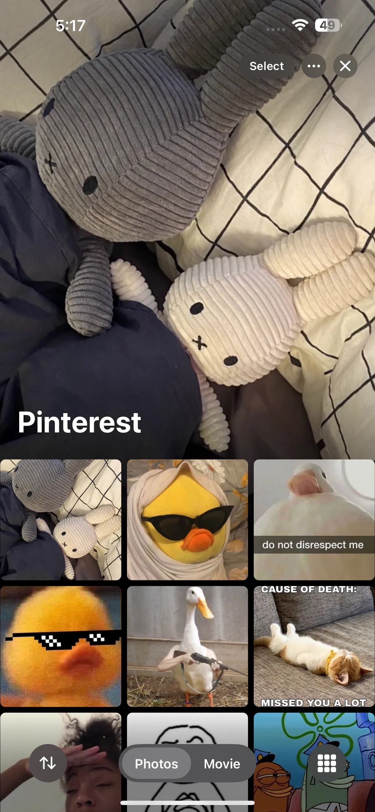 Album có tiêu đề &quot;Pinterest&quot; trong ứng dụng Ảnh iOS