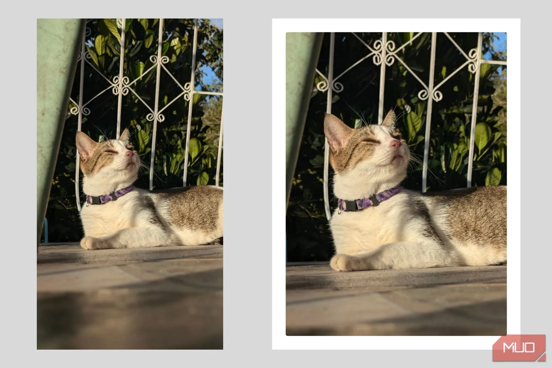 Ảnh chụp tỷ lệ 4:3 với viền trắng kiểu Polaroid, tái hiện phong cách ảnh tức thì.