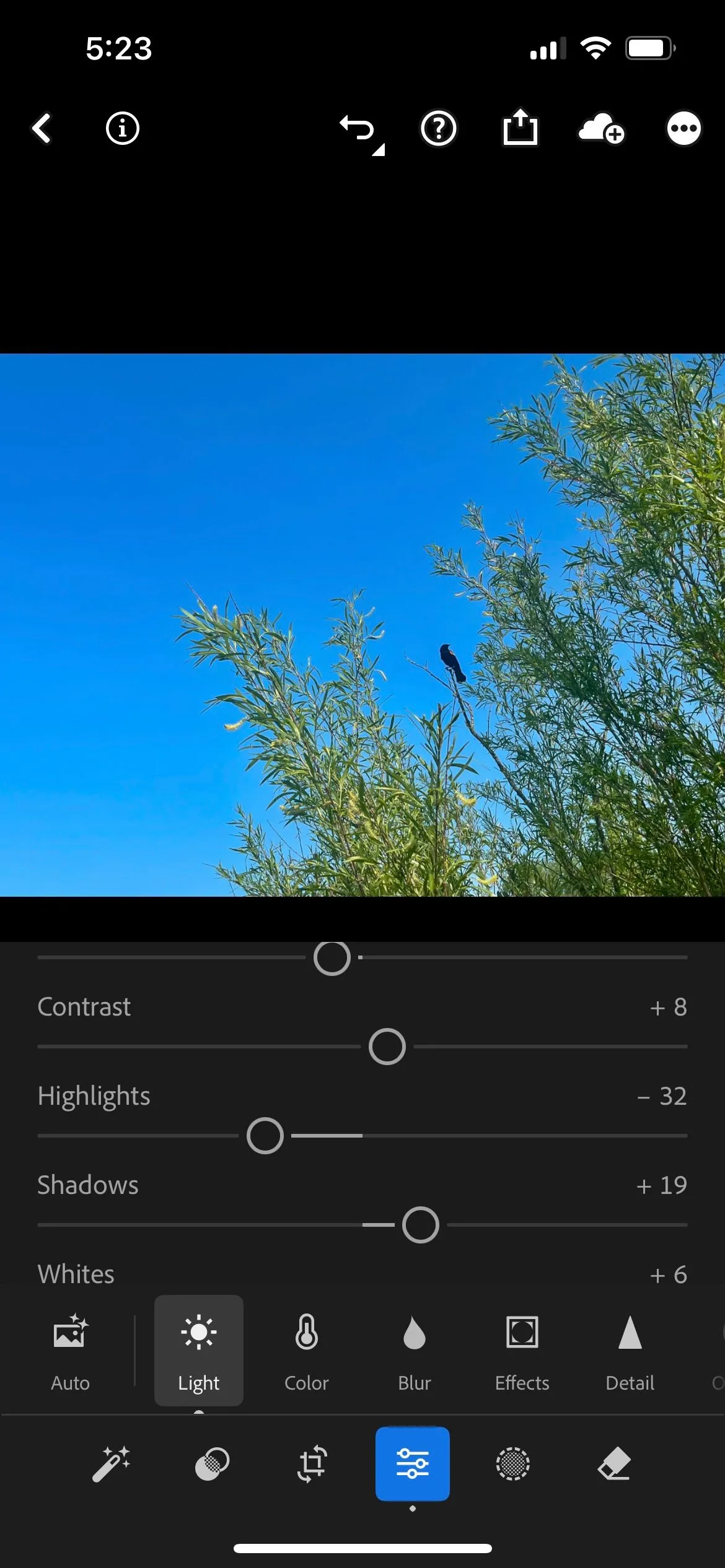 Bảng điều khiển chỉnh sửa phơi sáng cơ bản trong ứng dụng Lightroom Mobile, minh họa khả năng tối ưu hóa chất lượng hình ảnh động vật hoang dã sau khi chụp bằng smartphone.
