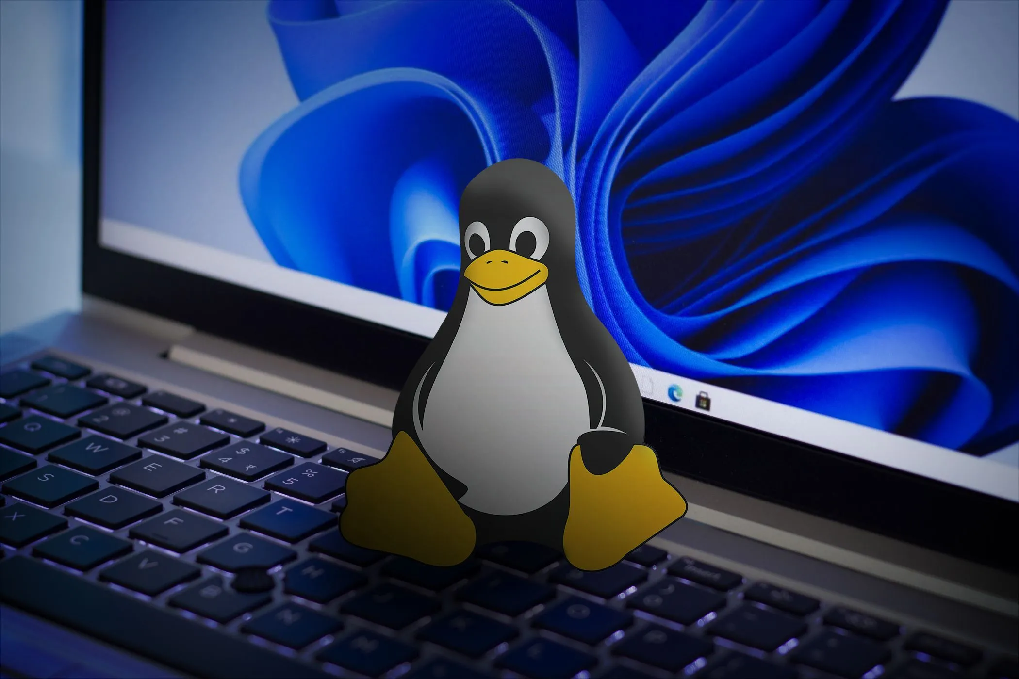 Biểu tượng Linux trên bàn phím laptop cùng màn hình hiển thị Windows 11, gợi ý lựa chọn hệ điều hành nhẹ hơn