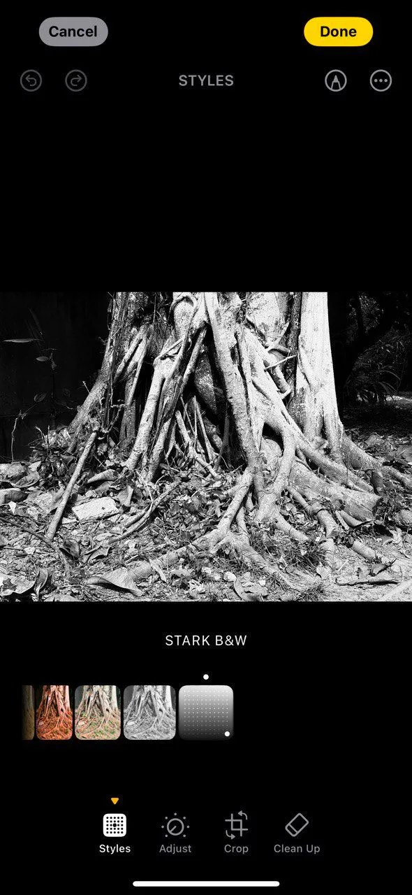Bức ảnh kiến trúc đen trắng với tương phản cao từ Stark B&amp;W của iPhone 16