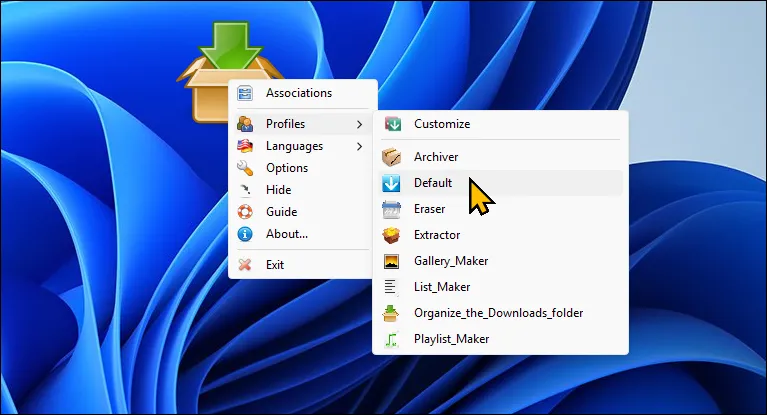 Các tùy chọn cấu hình của DropIt trên màn hình desktop Windows 11, hỗ trợ sắp xếp tệp tự động