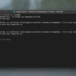 Cài đặt DeepSeek-R1 trong cửa sổ Terminal