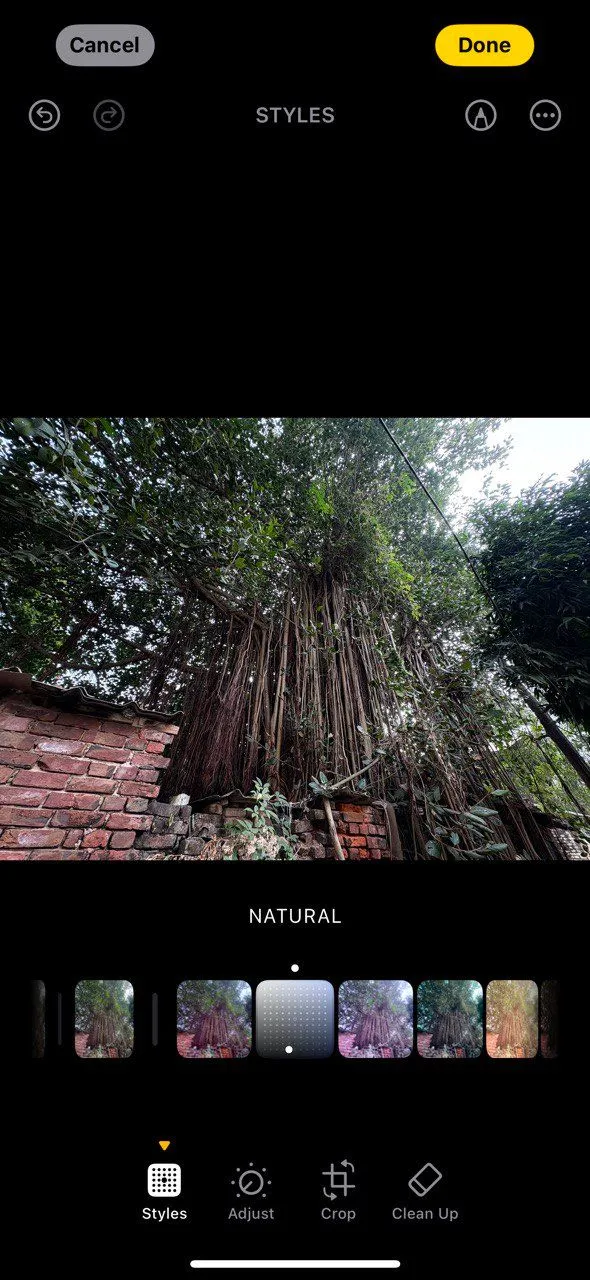 Cảnh quan thiên nhiên được chụp và làm nổi bật bằng Photographic Styles trên iPhone 16