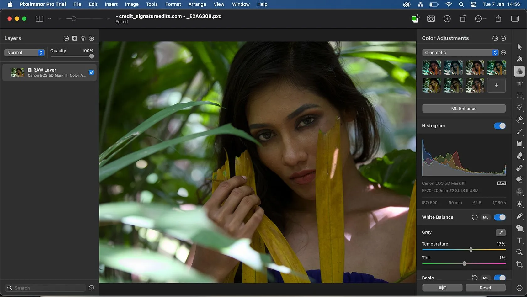 Chỉnh sửa ảnh RAW trực tiếp trong Pixelmator Pro với khả năng tùy chỉnh chi tiết