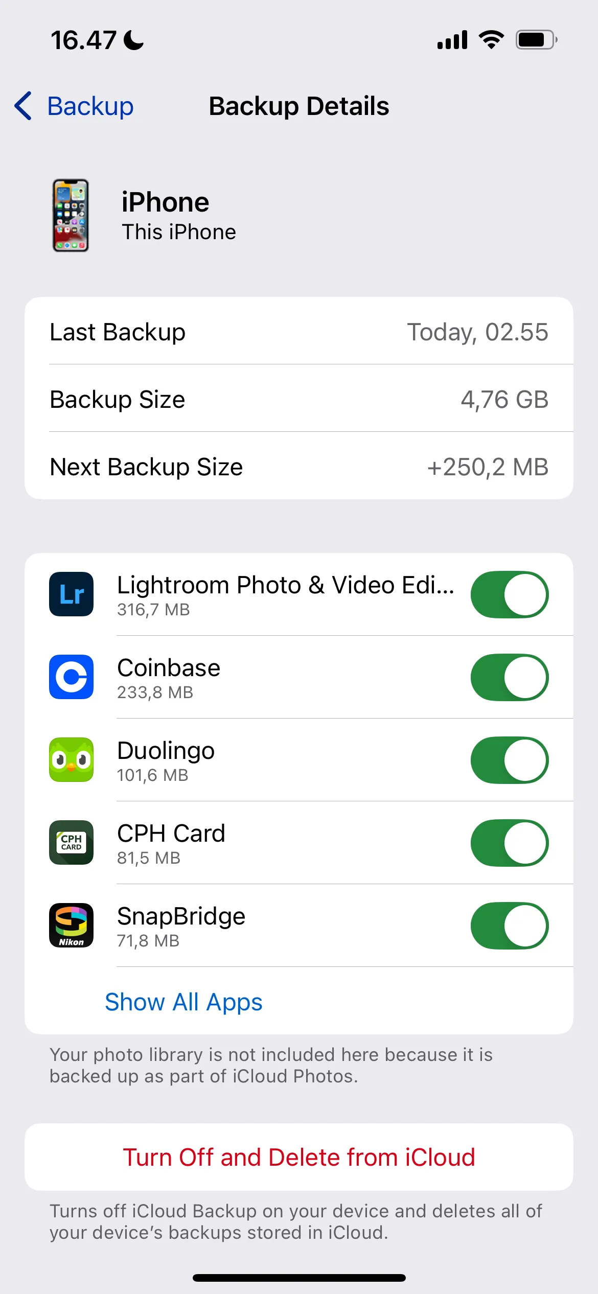 Chọn chi tiết sao lưu ứng dụng trong iCloud