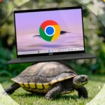 Con rùa mang chiếc Chromebook trên lưng tượng trưng cho tốc độ chậm của hệ thống khi cache Chrome quá lớn