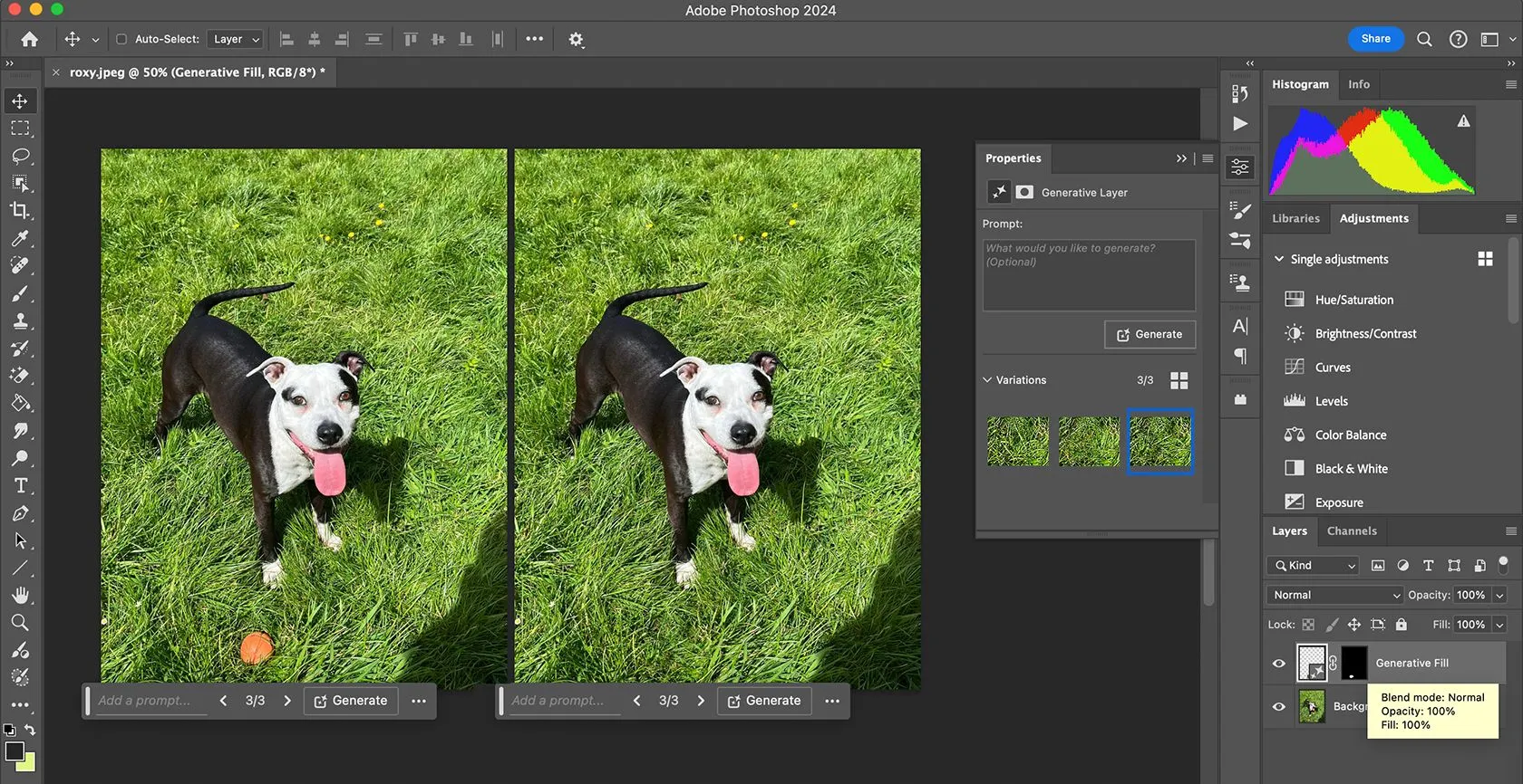 Công cụ Generative Fill AI trong Adobe Photoshop, tính năng cốt lõi của phần mềm