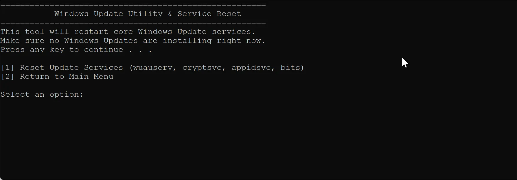 Cửa sổ dòng lệnh hiển thị quá trình Reset dịch vụ Windows Update của Windows Maintenance Tool
