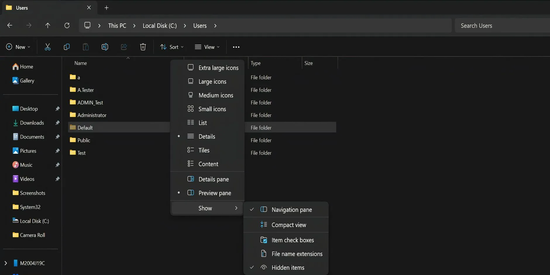 Cửa sổ File Explorer cho phép hiển thị các mục ẩn để tìm và thay thế tệp NTUSER.DAT, giải quyết lỗi hồ sơ người dùng.
