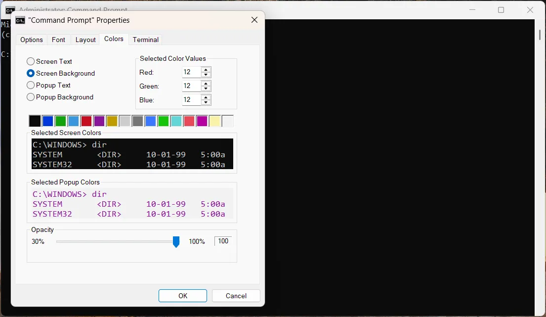 Cửa sổ thuộc tính của Command Prompt trên Windows để tùy chỉnh giao diện.