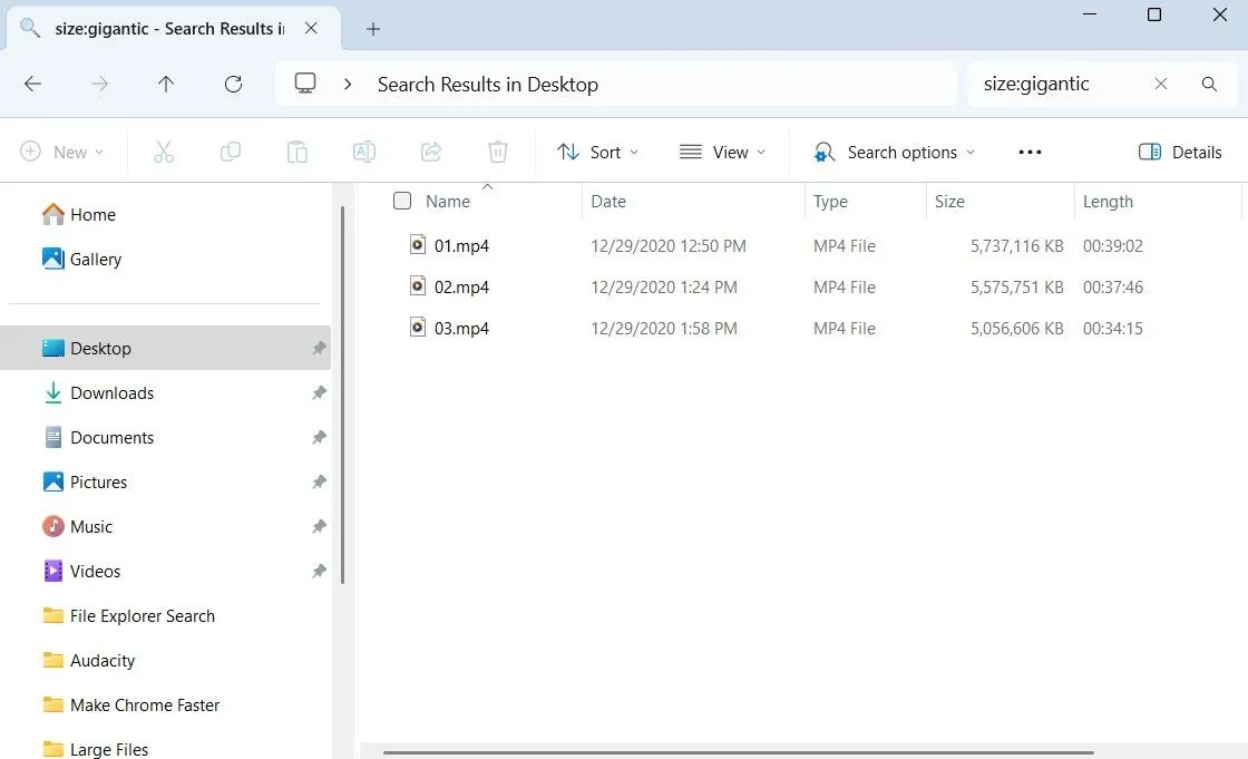 File Explorer của Windows hiển thị các tệp dung lượng lớn sau khi tìm kiếm