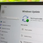 Giao diện cập nhật Windows 11 trong ứng dụng Cài đặt