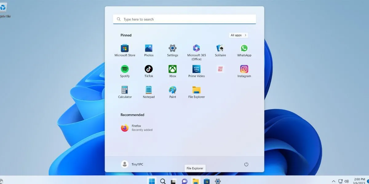 Giao diện chính và logo của hệ điều hành Tiny11