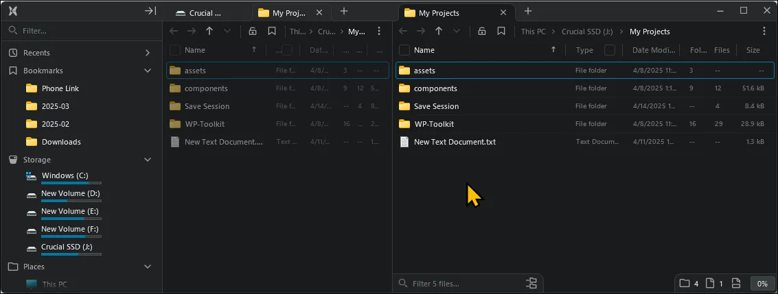 Giao diện File Pilot với chế độ xem hai bảng song song trên Windows 11, minh họa khả năng quản lý tệp tin hiệu quả.
