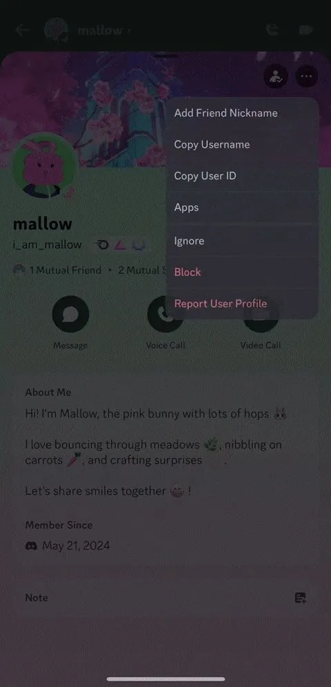 Giao diện hồ sơ người dùng trên Discord hiển thị menu ba chấm với tùy chọn &quot;Bỏ qua&quot; để quản lý tương tác