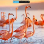 Giao diện tính năng ghi màn hình của Snipping Tool trên Windows 11, hiển thị các tùy chọn ghi âm.