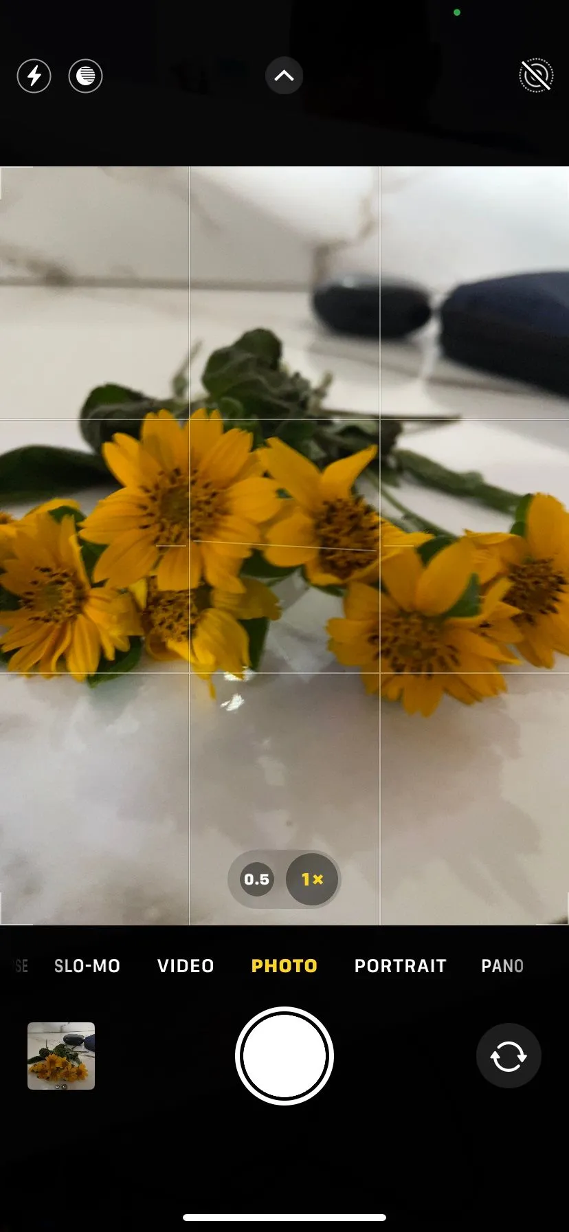 Giao diện ứng dụng camera iPhone hiển thị lưới bố cục 3x3 giúp căn chỉnh ảnh