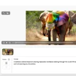 Giao diện ứng dụng web Adobe Firefly hiển thị tính năng tạo video AI Beta từ mô tả văn bản