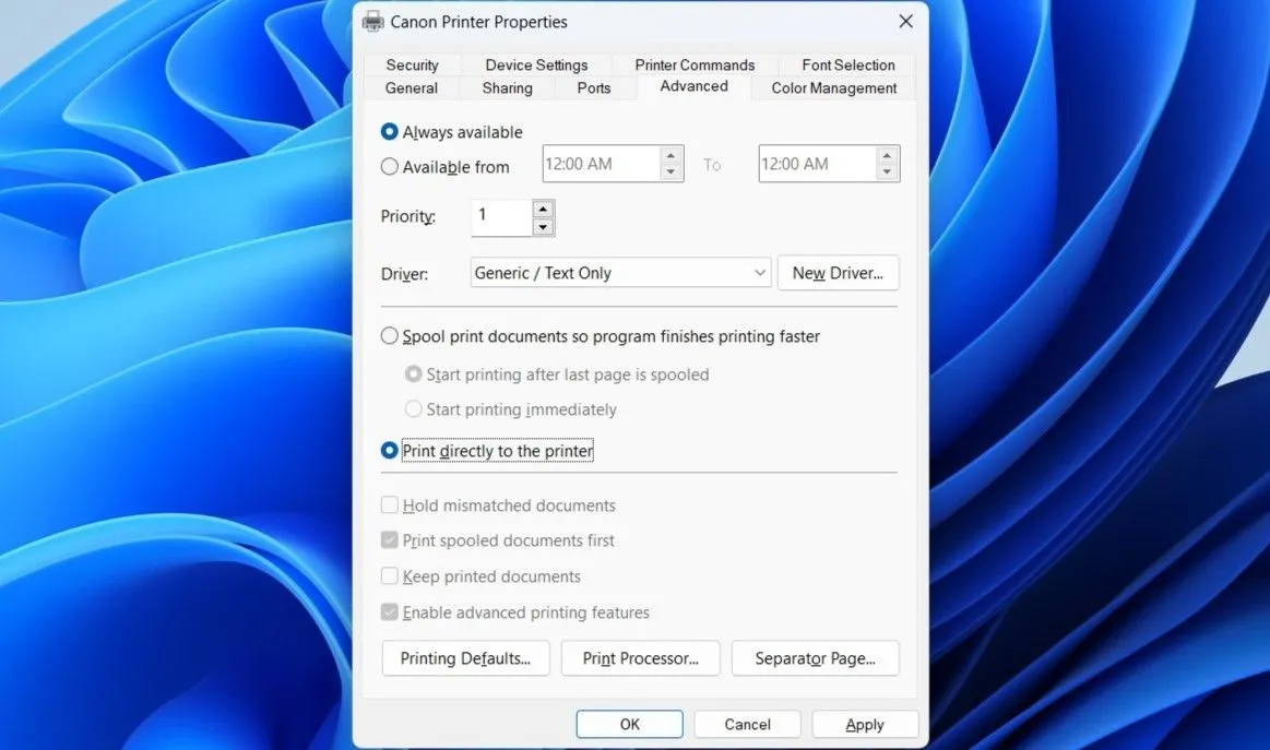 Hộp thoại thuộc tính máy in trên Windows