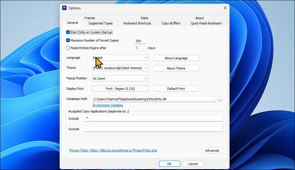 Hộp thoại tùy chọn quản lý clipboard Ditto trên Windows 11