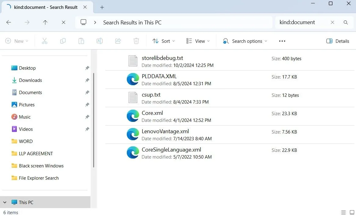 Hướng dẫn sử dụng bộ lọc tìm kiếm theo loại file trong File Explorer trên Windows.