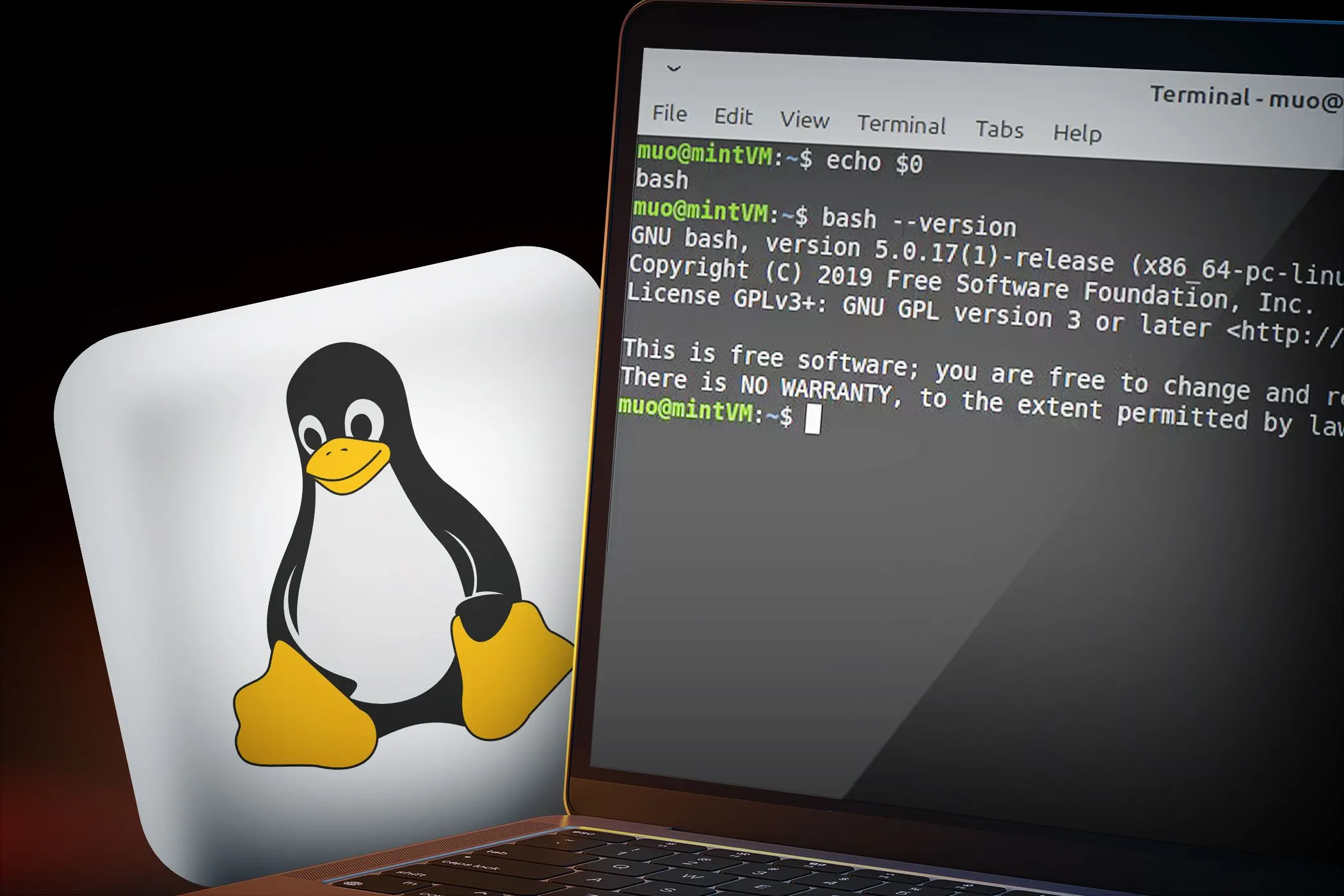 Màn hình laptop hiển thị cửa sổ cmd với mã code và logo Linux nền