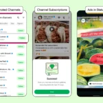 Màn hình trạng thái WhatsApp hiển thị quảng cáo giữa các bản cập nhật từ bạn bè