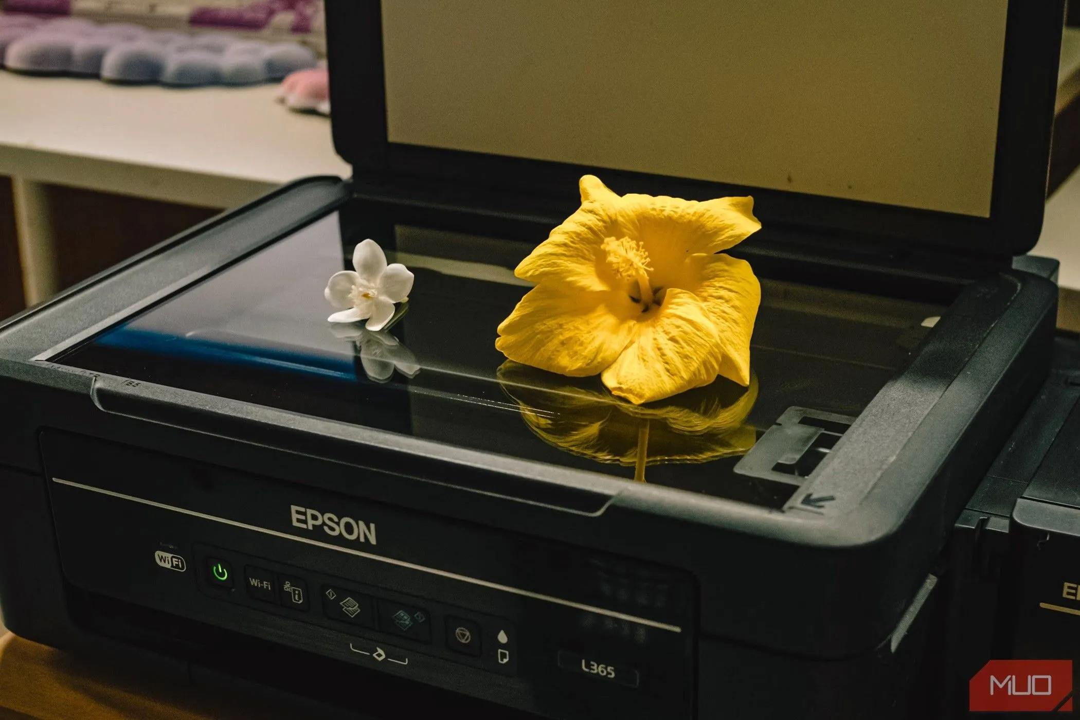 Máy quét phẳng (flatbed scanner) truyền thống, thiết bị từng là tiêu chuẩn để số hóa tài liệu