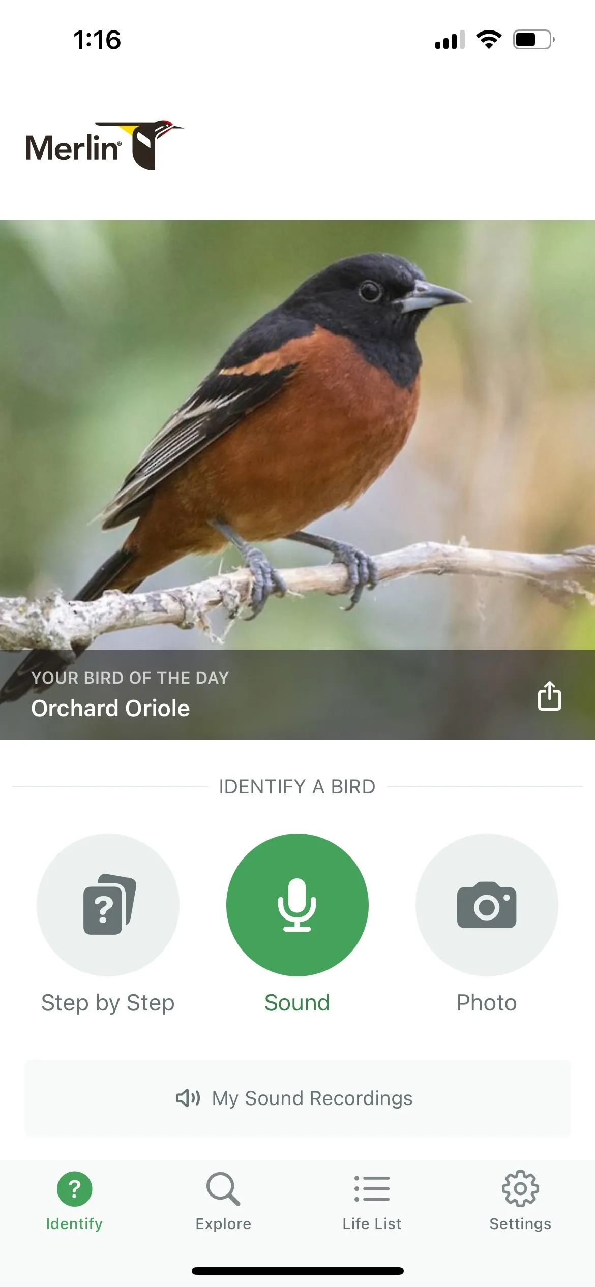 Merlin Bird ID nhận diện chim bằng âm thanh