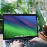 Người dùng đang nghiên cứu thông tin về một công ty trên MacBook Air để nhận diện các chiêu trò lừa đảo online.