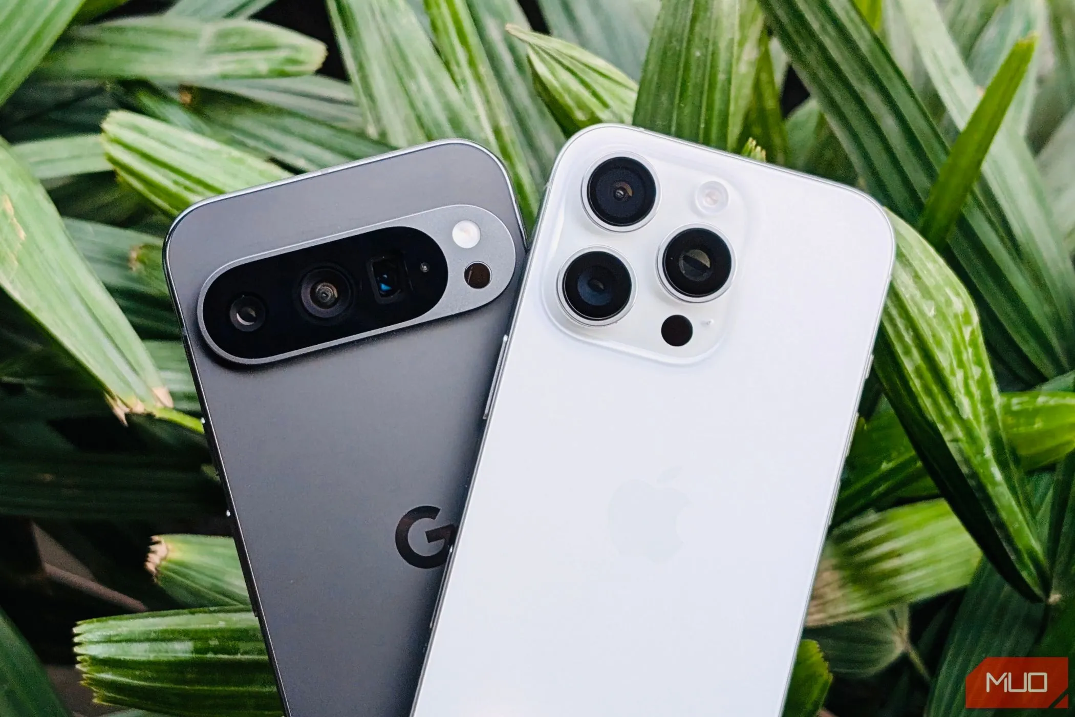 Pixel 9 Pro và iPhone 16 Pro trước một cái cây