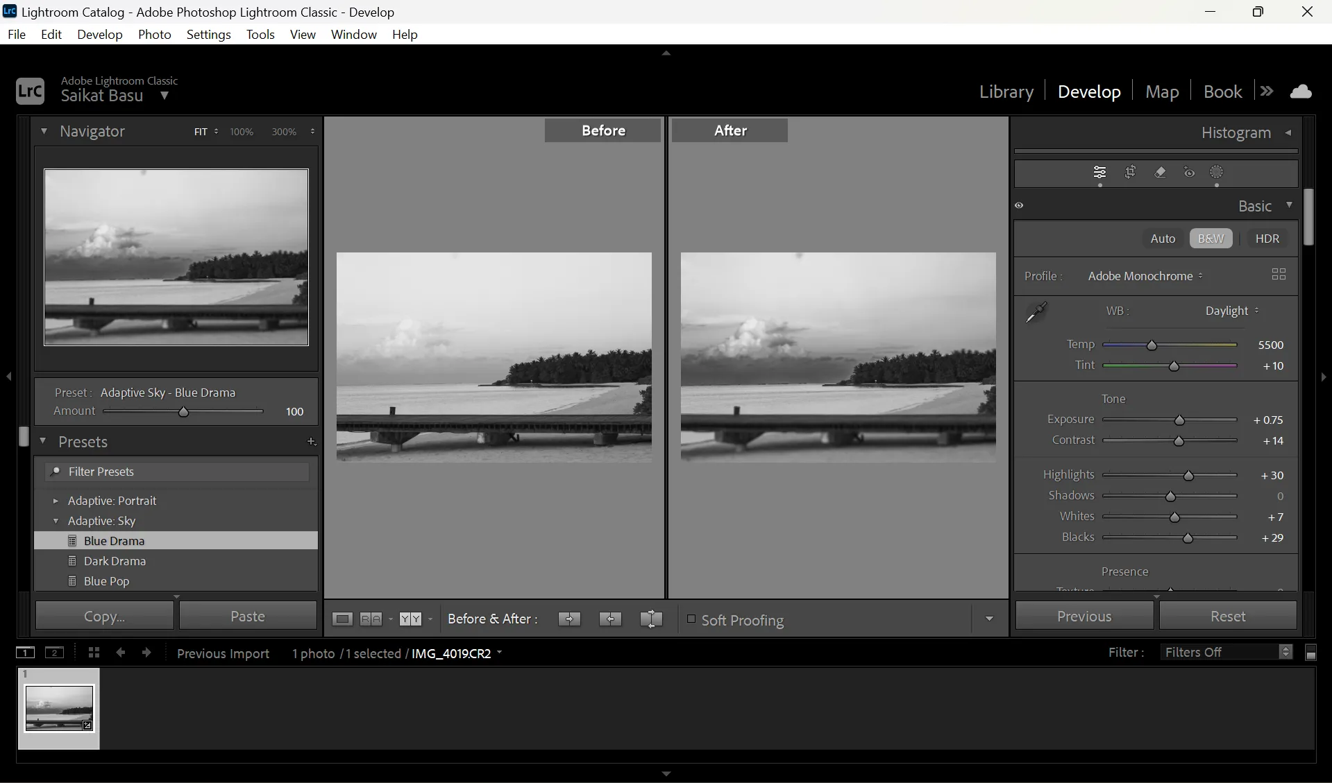 Sự khác biệt giữa ảnh gốc và ảnh sau khi áp dụng bộ lọc trong Lightroom
