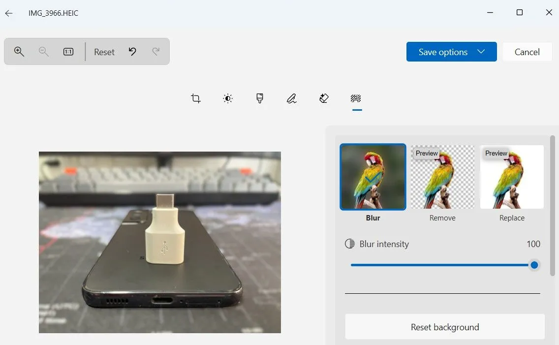 Tính năng xóa nền ảnh trong ứng dụng Photos của Windows 11