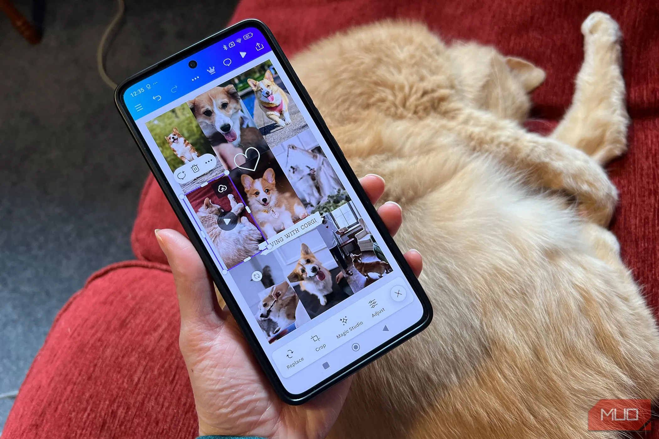 Trải nghiệm chỉnh sửa video dễ dàng trên Canva ứng dụng di động Android