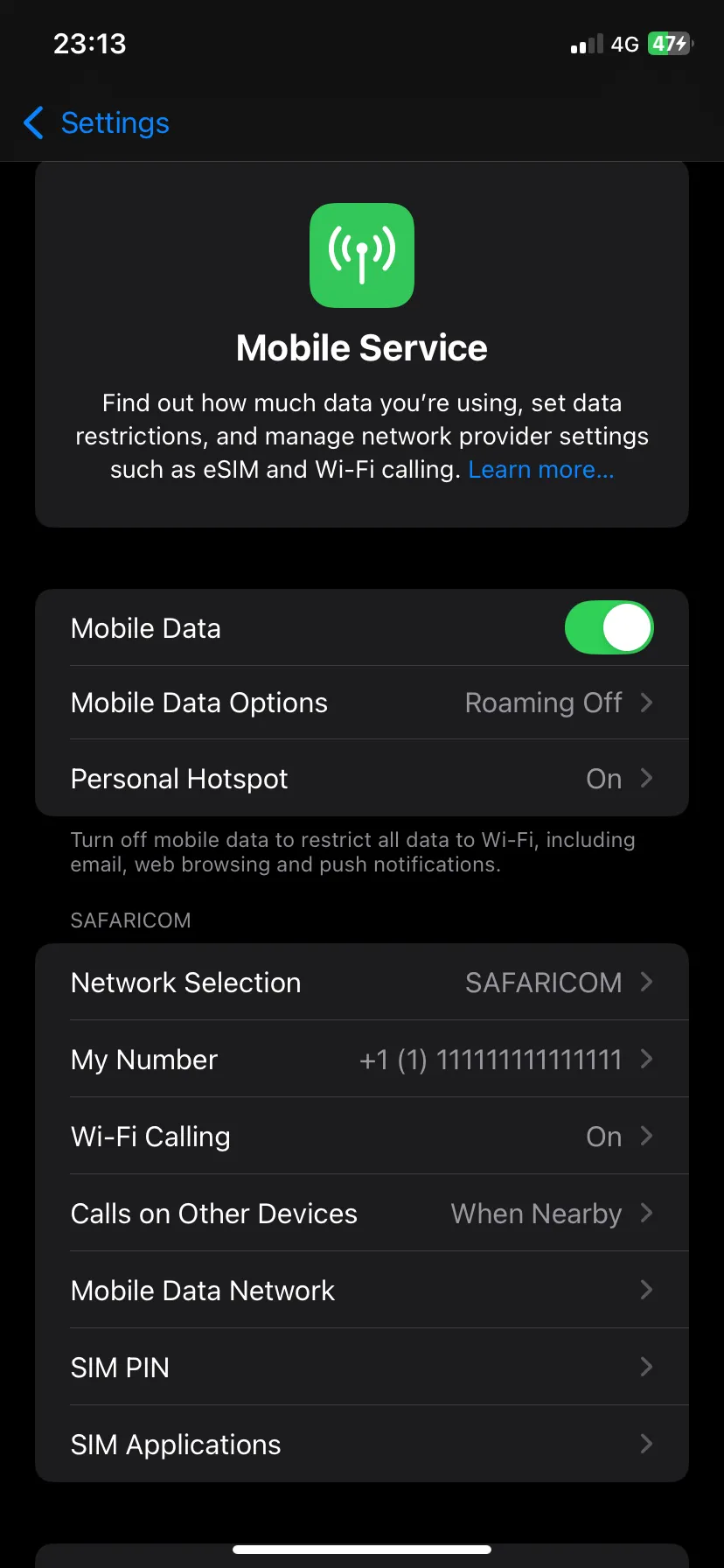 Trang Tùy chọn Dữ liệu Di động trong Cài đặt iOS để bật Low Data Mode
