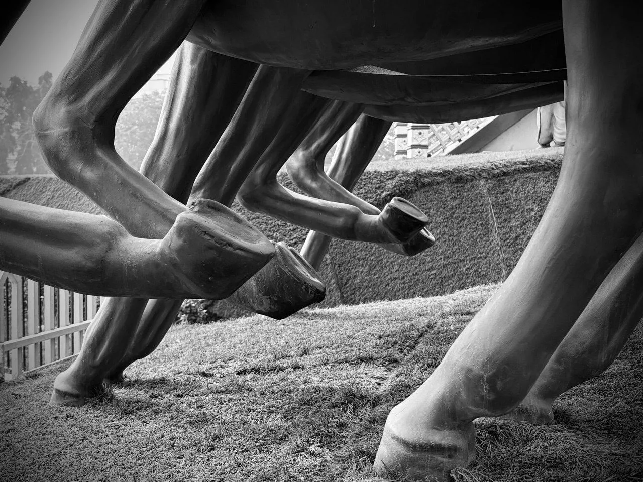 Ví dụ về ảnh chụp đường phố với phong cách Stark B&amp;W được thiết lập mặc định trên iPhone 16