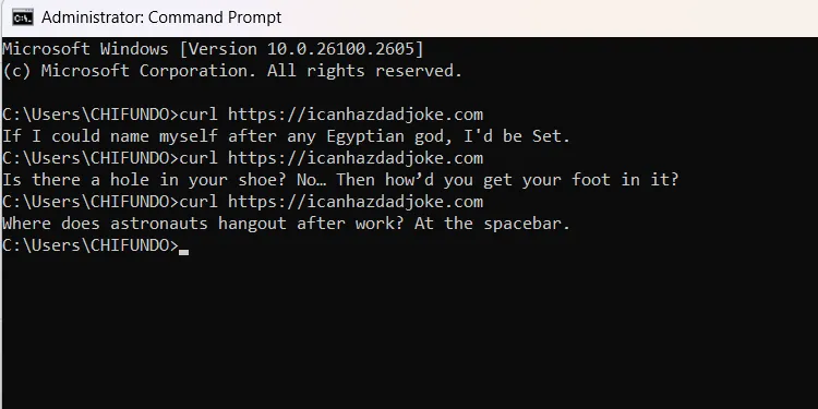 Ví dụ về truyện cười ngẫu nhiên hiển thị trong cửa sổ Command Prompt.